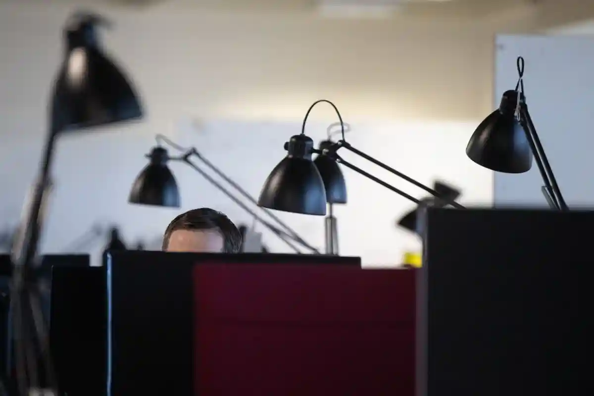 Чотирьохденка перевернула життя. Фото: Sebastian Gollnow/dpa/dpa-tmn/Symbolbild