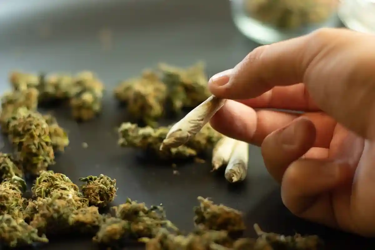 Марихуана у Німеччині. Фото: Postmodern Studio / https://www.shutterstock.com