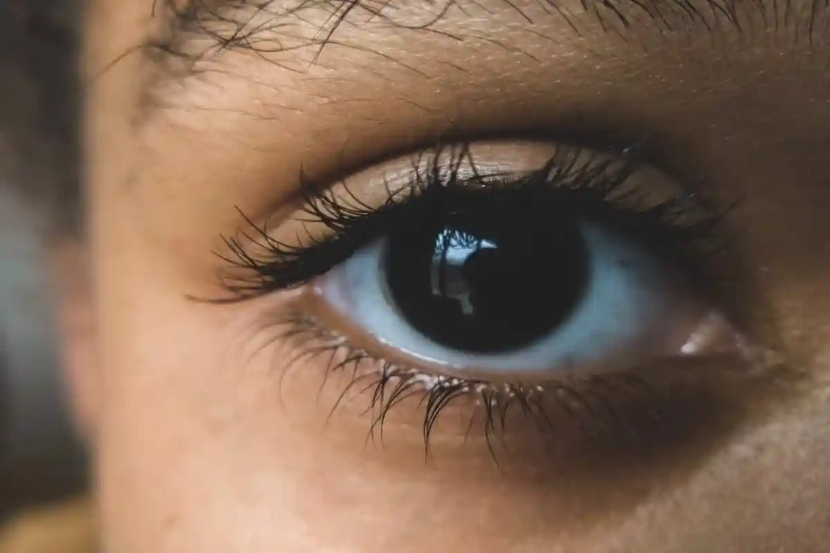 Як німецька розвідка збирає інформацію