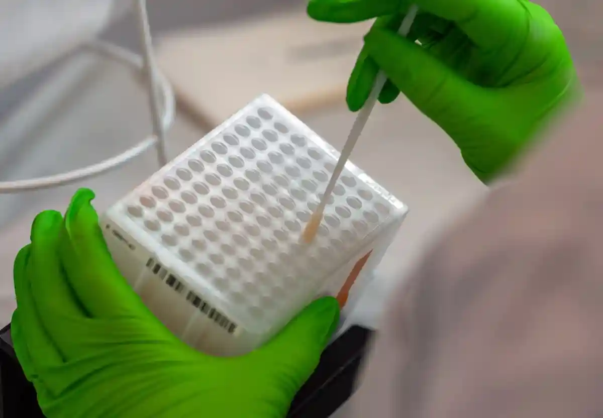 Співробітник лабораторії за роботою. Фото: Robert Michael/dpa-Zentralbild/dpa/Symbolbild