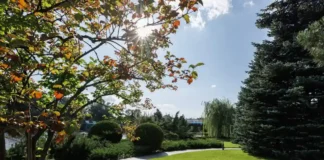 Проєктування ділянок під ключ