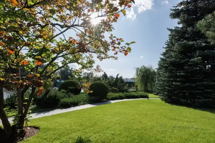 Проєктування ділянок під ключ