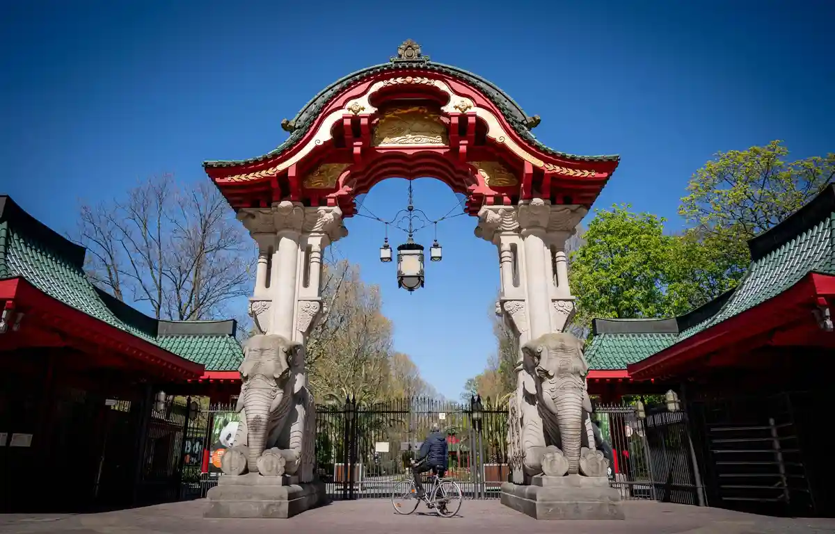 Берлінський зоопарк поки що закрито. Фото: Kay Nietfeld/dpa