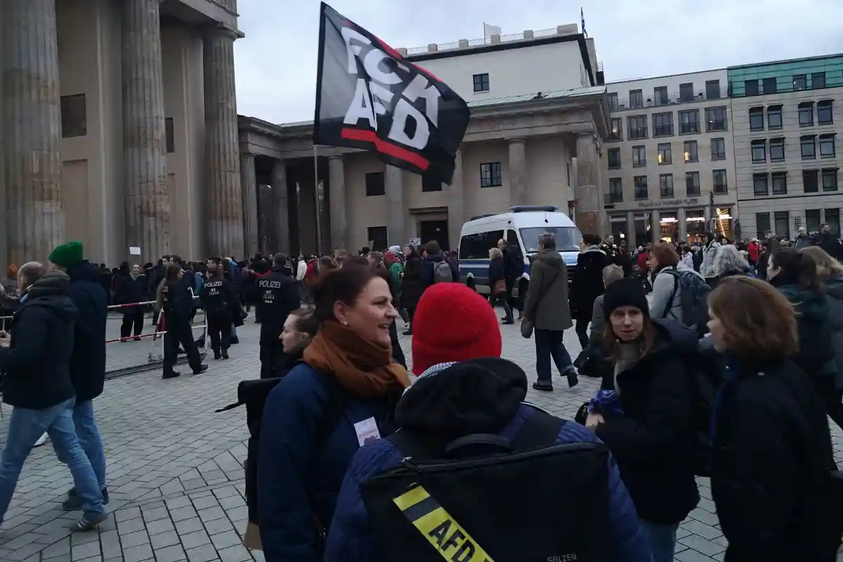Протести в Німеччині AFD.