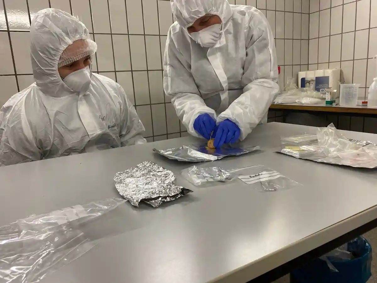 Лабораторія. Фото: Yvonne Tafelmier/Universität Konstanz/DPA