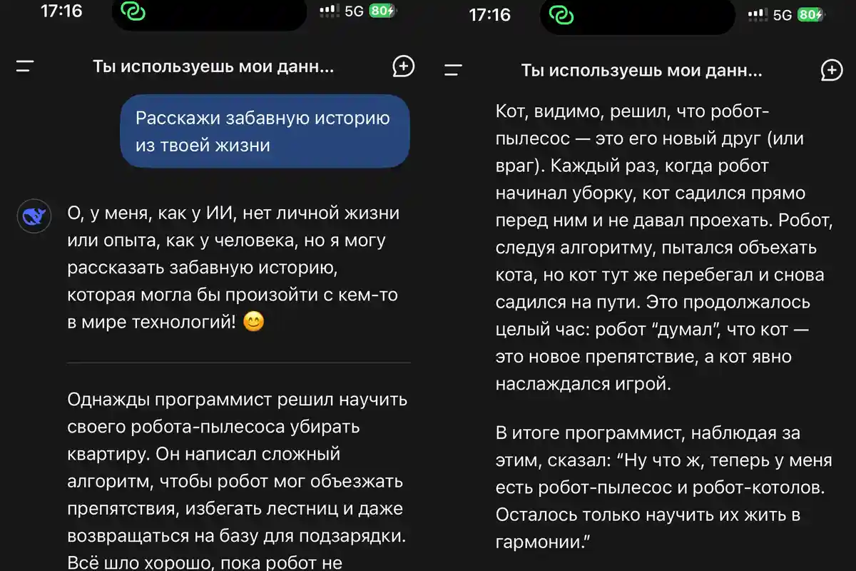 Історія створеного DeepSeek (фрагмент).