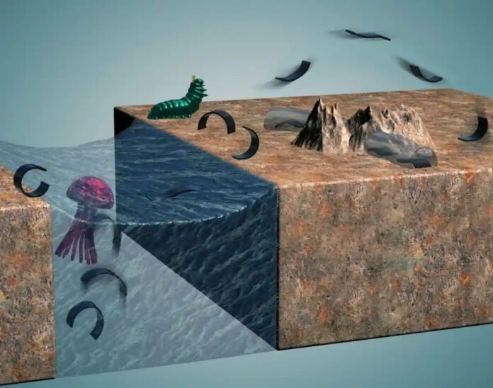 Робот Червяк їде на полювання