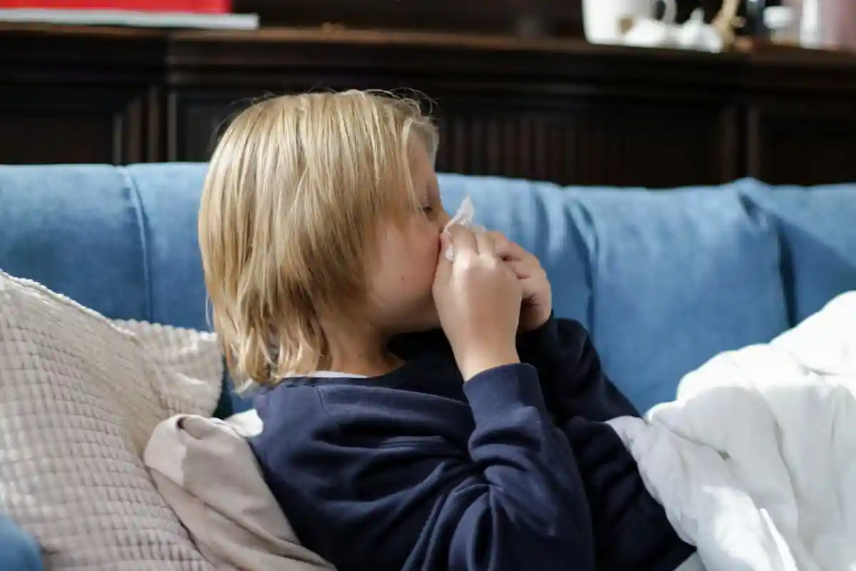 Фото: Cottonbro Studio / Pexels.com