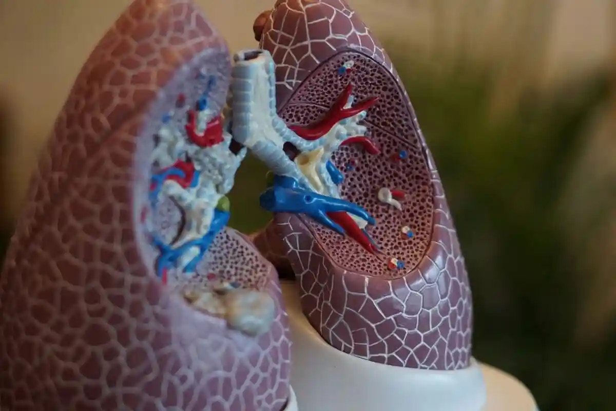 Інтернет -реєстр органів: Чому кількість донорів не зростає? Фото: Robina weermeijer / unsplash.com