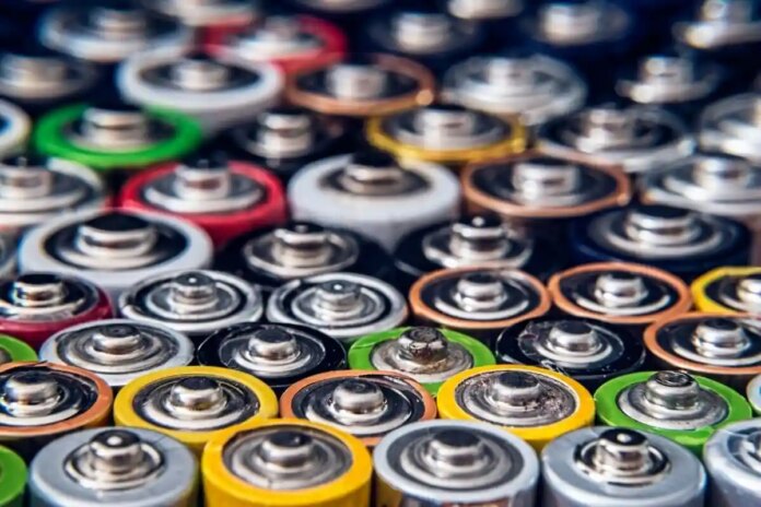 Грибна біобатарія: як вчені вирощують енергію