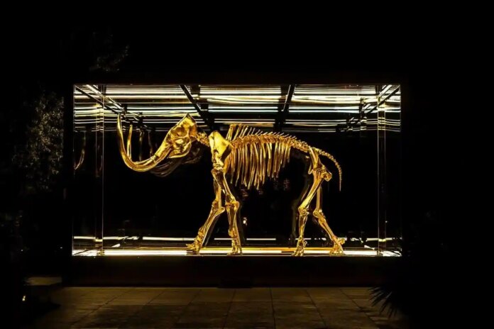 Мамонт хутро: Чи повернуться стародавні гіганти?