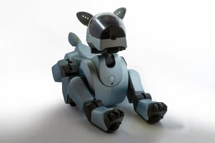 Робот -собака в ТЕЦ: Як AI Piterets допомагає працівникам