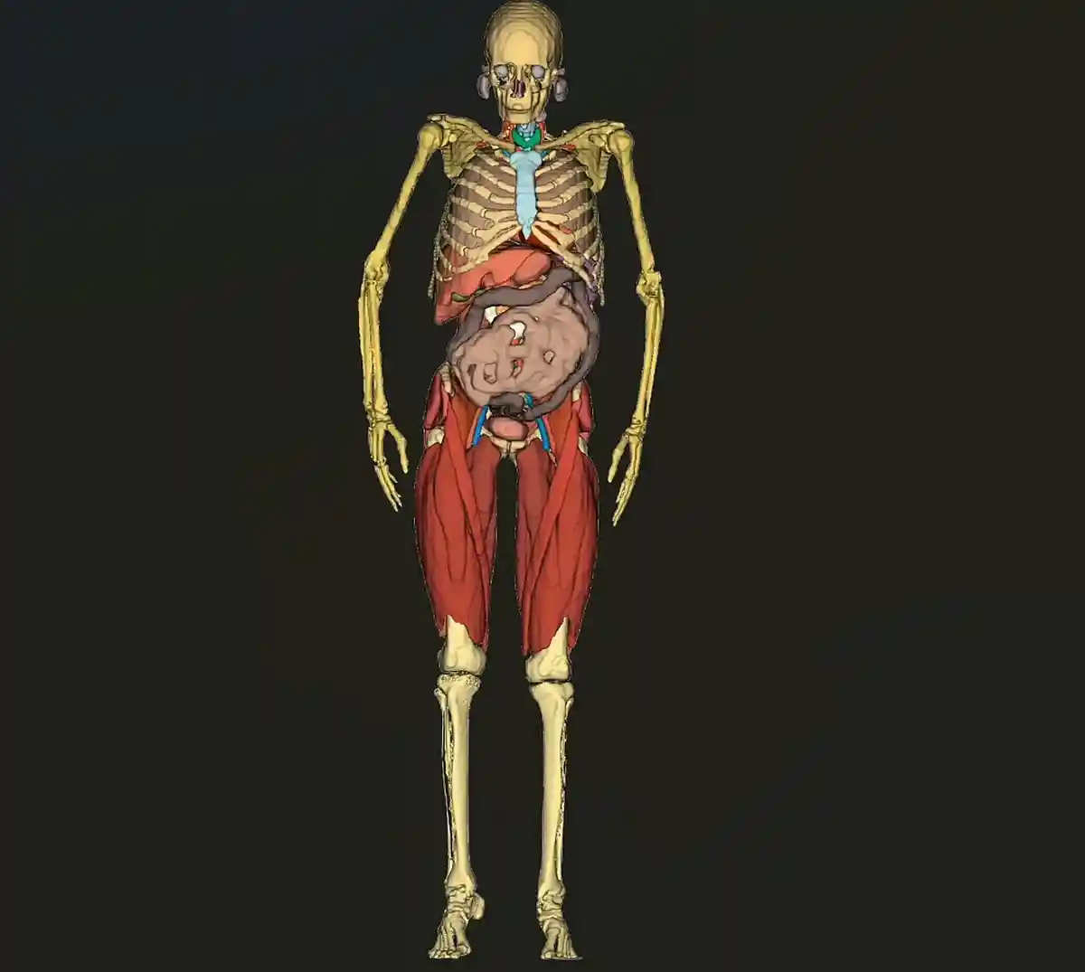 Проект Blumind AI діагностує захворювання краще, ніж будь -який лікар. Фото: aussiedlerbote.de