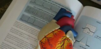 Профілактика інфаркту: як щеплення захищають серце