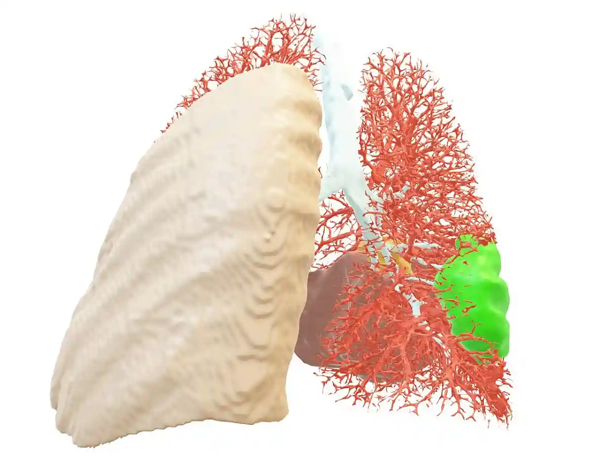 Проект Blumind AI діагностує захворювання краще, ніж будь -який лікар