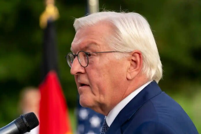 Штейнмейер прибув до Південного Кавказу: Чому?