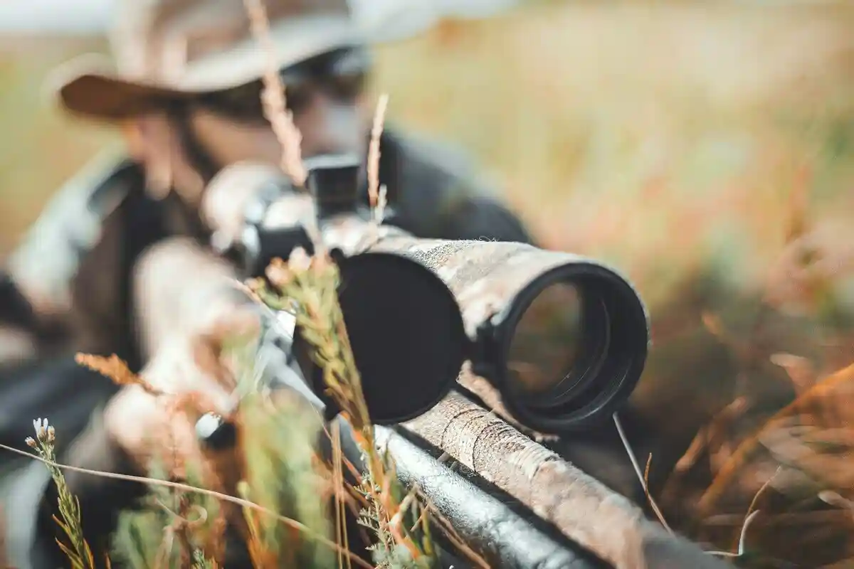 Волков стане легше для стрільби: ЄС зменшує захисний стан хижака. Фото: Максим Поткін ❄ / unsplash.com