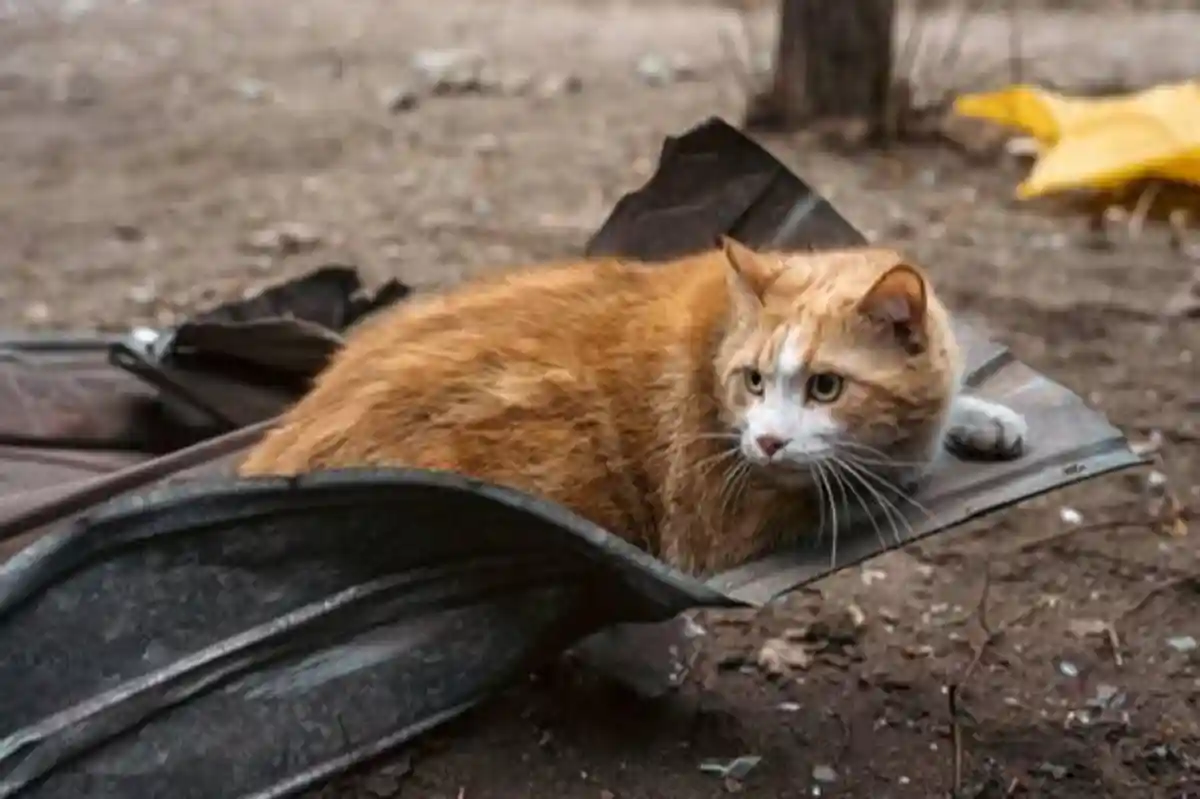 Україна отримує дозвіл на страйки на територію Росії