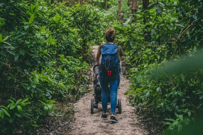 Коли і з чого почати?