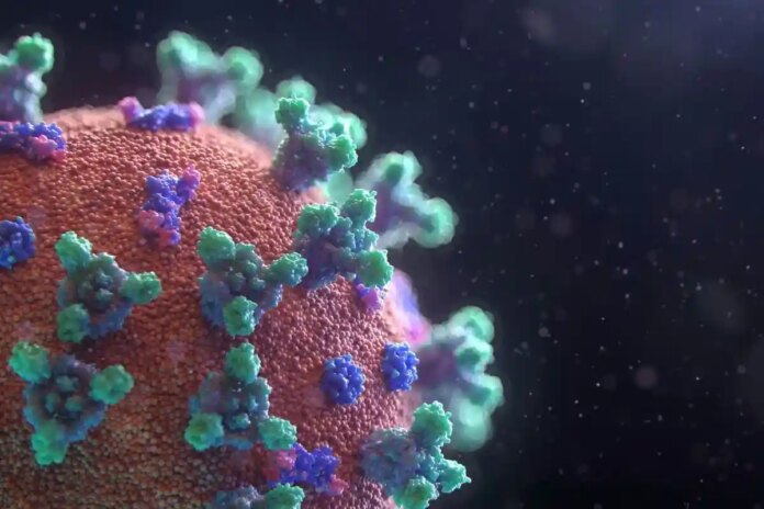 У Європі розповсюджується штам -штам "nimbus"