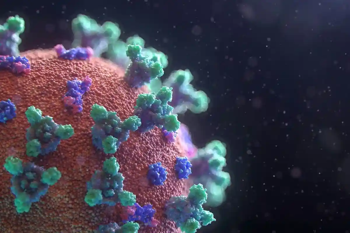 Чи пробуджуються сплячі пухлини віруси? Фото: Fusion Medical Animation / unsplash.com