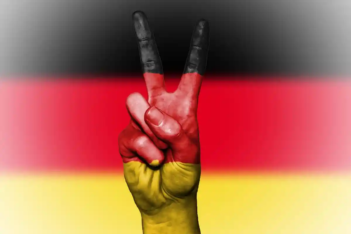 Фото: pexels.com