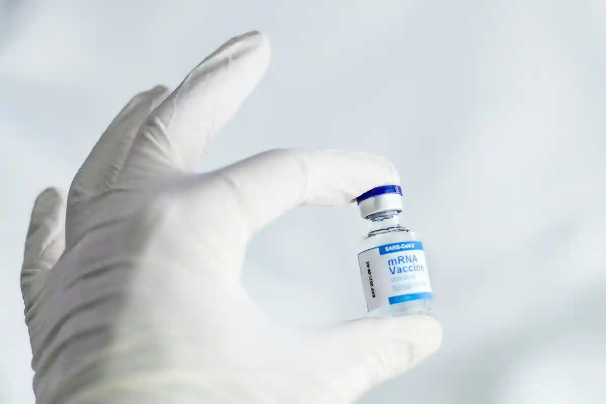 Тропічні захворювання в Німеччині: чи є ризик і як захистити себе? Фото: Спенсер Девіс / unsplash.com