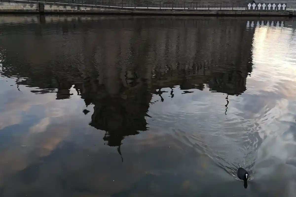 Інтрига голосування в Бундестагу