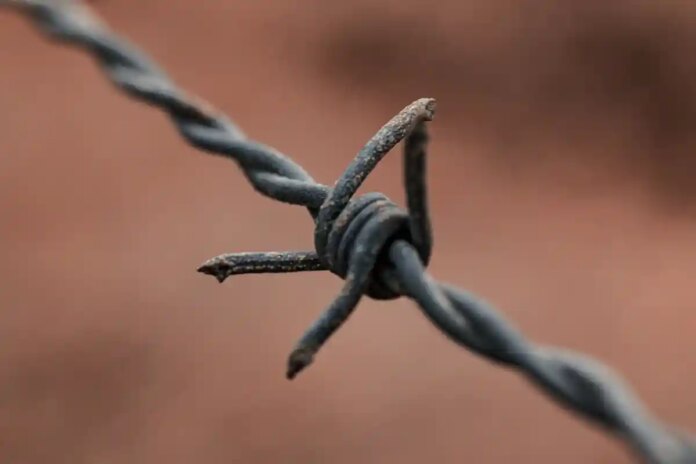 Нова система кордону: ЄС підтверджує дату запуску