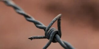 Російські політичні в’язні звернулися до світових лідерів з відкритим листом: чи буде відповідь?