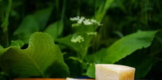 Сир телефонує кошмари: нове дослідження