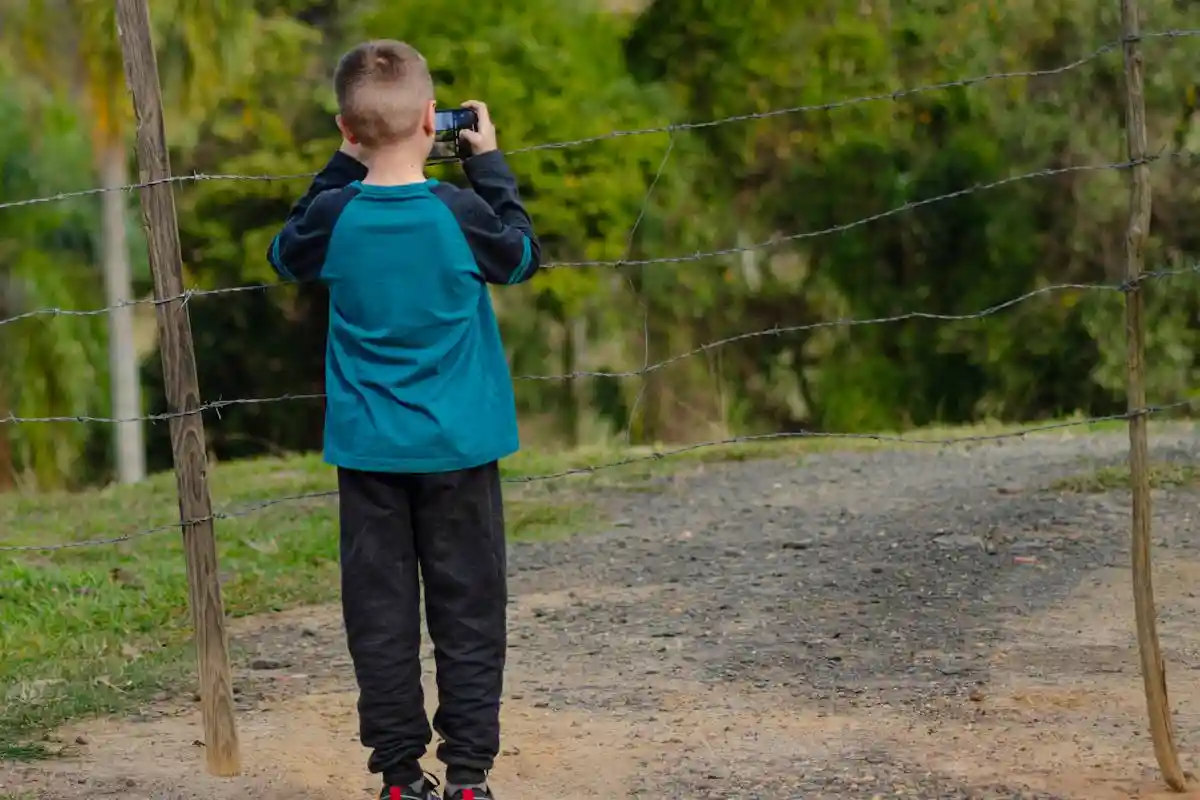 Фото: Matheus lara / pexels.com