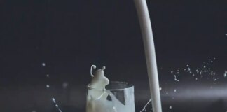 Чи можливо заразитися енцефалітом, що переносяться кліщами через молоко