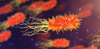 Чи пробуджуються сплячі пухлини віруси?