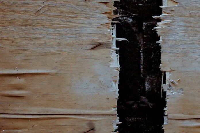 Кандидат від Німецького конституційного суду відмовився висунути після скандалу, організованого