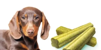 корм для собак