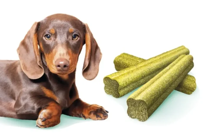 корм для собак