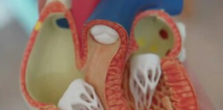 Як емоції впливають на здоров'я серця