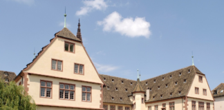 Нове життя та скелет кита