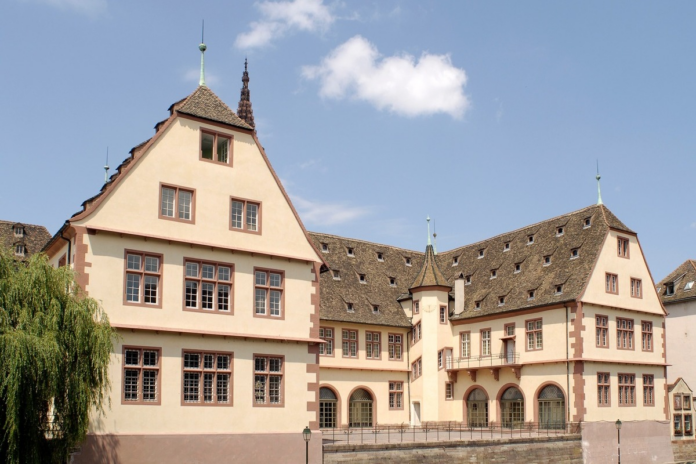 Нове життя та скелет кита