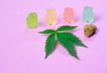 Німеччина відмовиться від продажів в Інтернеті медичної марихуани