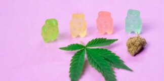 Німеччина відмовиться від продажів в Інтернеті медичної марихуани