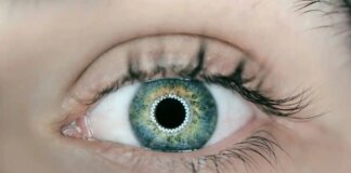 Як зберегти зір і уникнути сліпоти