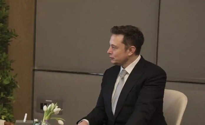 Mask Capital перевищив 500 мільярдів доларів