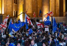 Німеччина відкликала свого посла з Грузії через урядову риторику