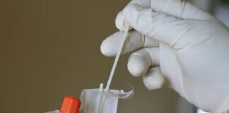 Світові прогнози та досвід Німеччини