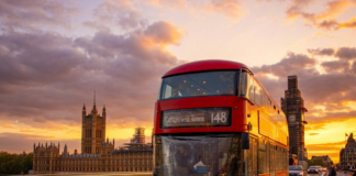 Таргани в Лондоні: водії скаржаться на антисанітарні умови