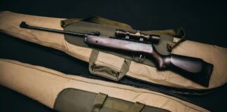 Як вдова з Баварії порушила правила